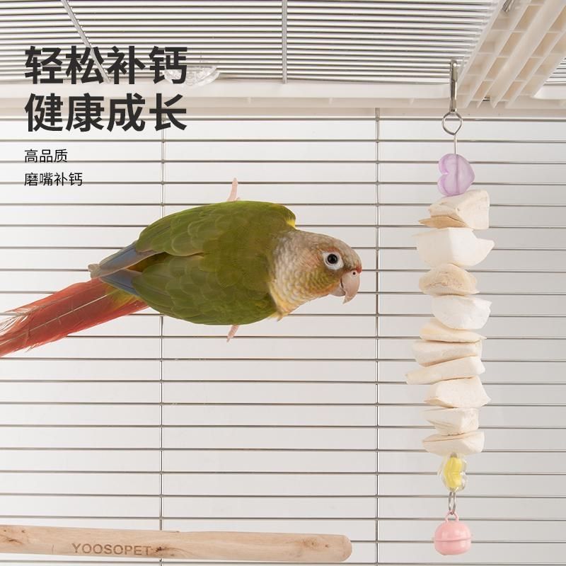 优嗖鹦鹉鸟啃咬玩具墨鱼骨串草编墨鱼骨串防软骨病补微量元素,宠物/宠物食品及用品,鸟玩具,淘宝优惠券,粉丝福利购,淘宝优惠卷