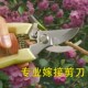 家用果树剪刀修枝神器剪花卉摘果剪树枝剪刀绿化嫁接园林园艺剪刀