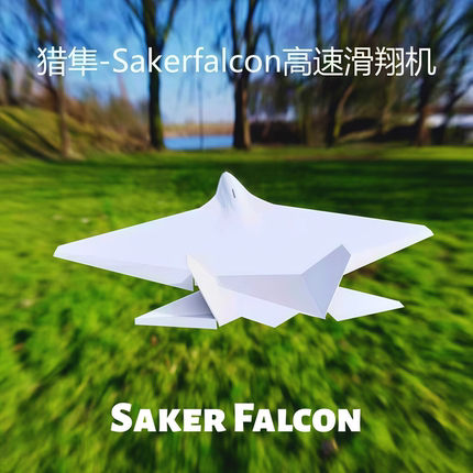 【猎隼】手抛滑翔机模型玩具儿童益智亲子户外互动飞机航模耐摔撞