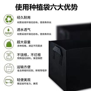 无纺布种植袋 黑色长方形 加厚美植袋 阳台种菜 盆栽育苗袋 花盆