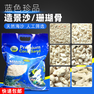 蓝色珍品海缸造景珊瑚沙海沙菲律宾沙子天然鱼缸底砂海砂珊瑚骨石