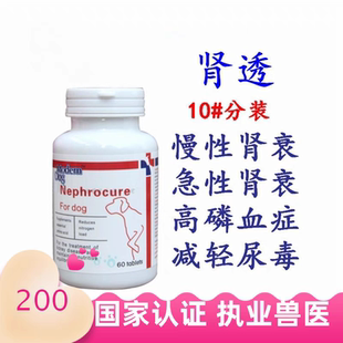 肾透摩登狗肾舒宠物犬猫慢性肾炎肾衰竭高磷血症尿毒症降肌酐肾脏