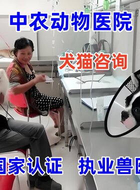 宠物咨询兽医咨询狗皮肤病心衰竭