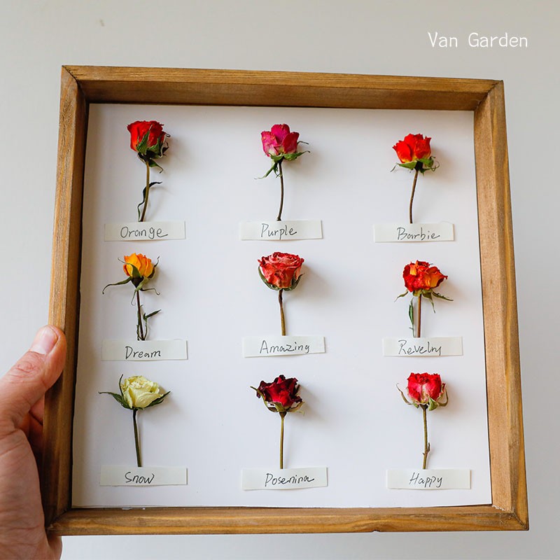 玫瑰蔷薇标本干花相框 DIY材料壁挂文艺民宿客厅装饰卧室复古相框