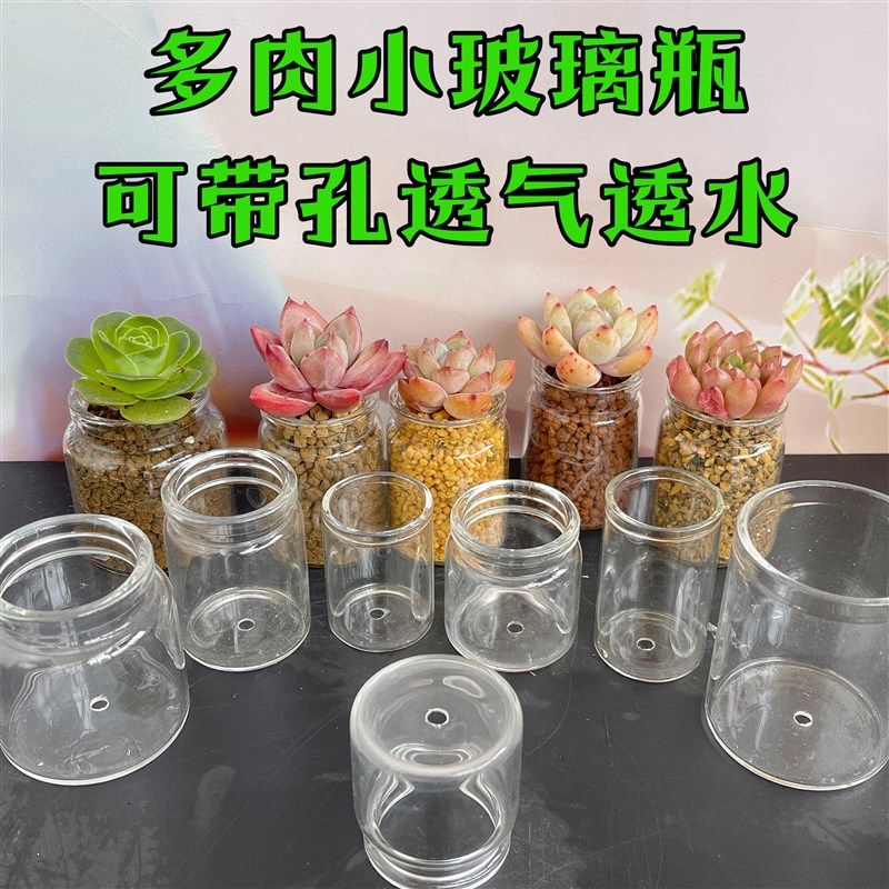 多肉玻璃瓶带孔透明花盆迷你切糕种植控养阳台家用简约许愿瓶,鲜花速递/花卉仿真/绿植园艺,花瓶,淘宝优惠券,粉丝福利购,淘宝优惠卷