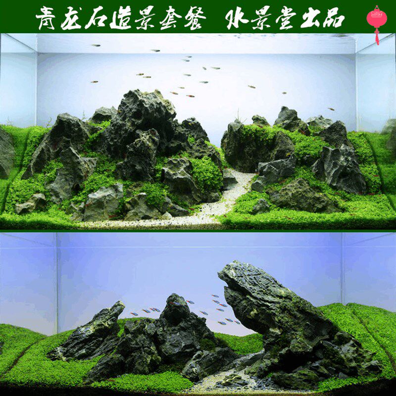 青龙石造景套餐箱布景鱼缸底部装饰铺底草造景创意家用摆仍