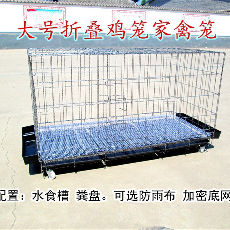 鸡笼子家用养鸡笼大号特大号自动清粪折叠养殖笼鸡舍铁丝网鸭狗笼