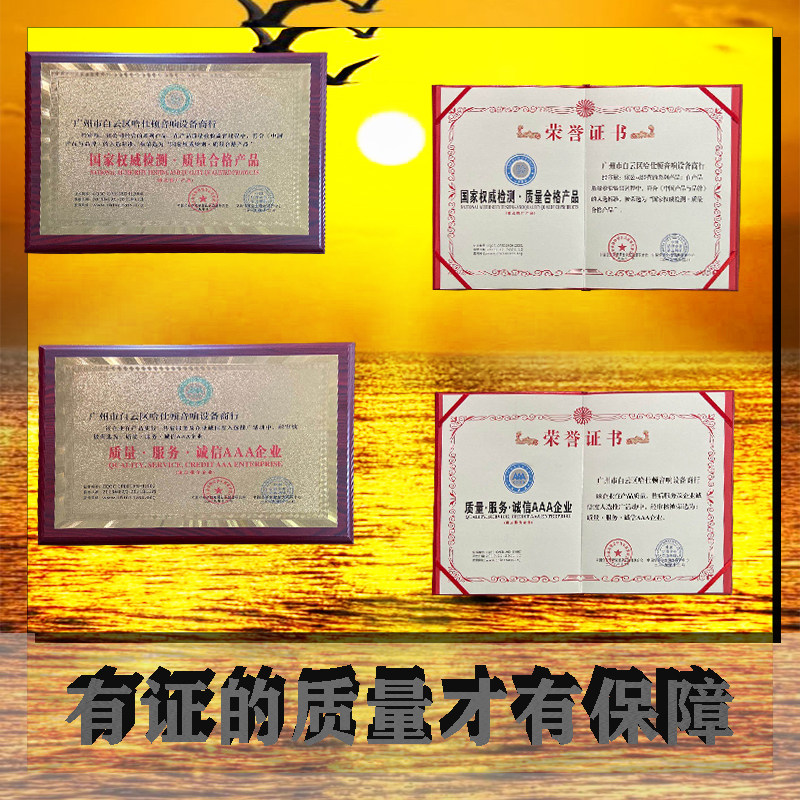 双10寸插卡蓝牙彩灯对箱音响家用自带功放立式木质话筒音箱套装