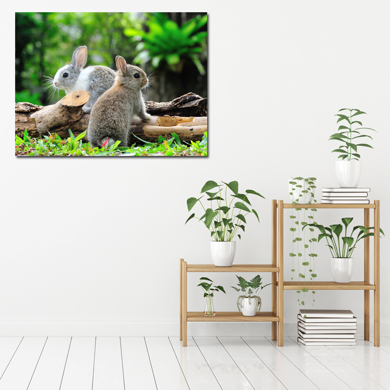 小兔子儿童房间装饰画走廊玄关无框画餐厅墙画动物挂画卧室壁画图片