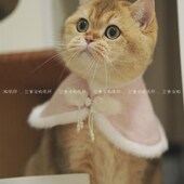 宠物中国风斗篷纸样披肩猫咪狗狗复古围脖图纸脖套披风颈圈样版