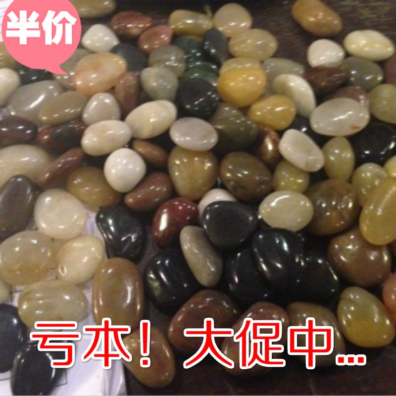50斤鹅卵石雨花石铺路天然小石子花盆水族家用装饰庭院大鹅软石头