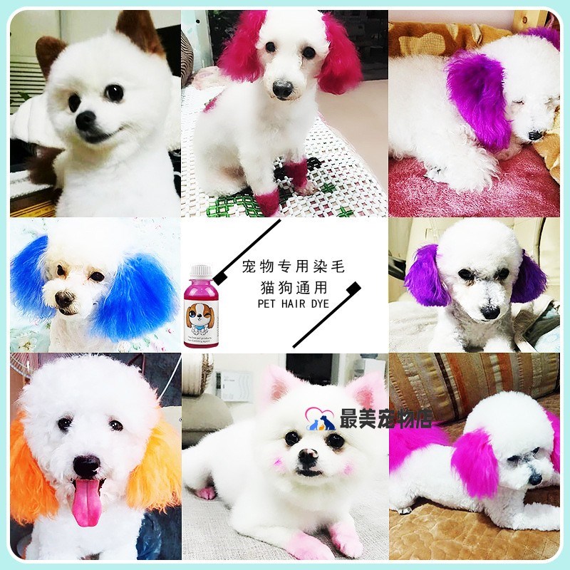 边牧专用狗狗染发剂宠物染色剂小狗染毛膏狗毛去污粉染发膏染色膏