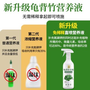 龟背竹营养液免稀释黄叶锈斑专用肥水培植物肥料叶面肥液体肥