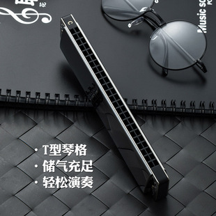 24孔口琴高级成人专业演奏级孔声复音口琴2410P