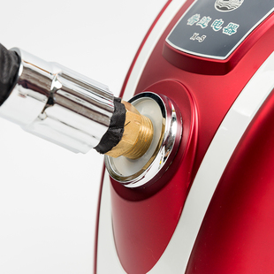 娜斯达克X1商用蒸汽挂烫机2300W超大蒸汽服装店调温熨衣机烫衣机