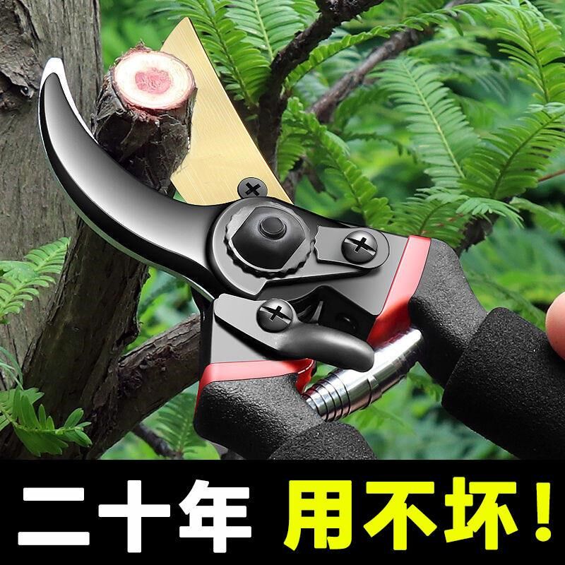 园艺剪枝剪刀修枝剪果树s不锈钢园林花艺剪子工具修剪树枝剪刀花