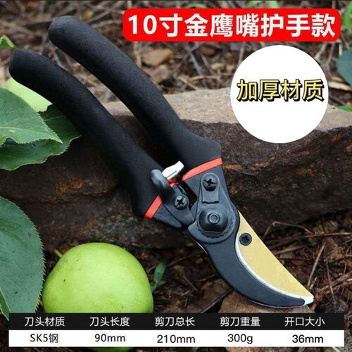 园艺修枝剪刀SK-5不锈钢剪家用花奔花枝K盆景剪锋利园林果树整枝