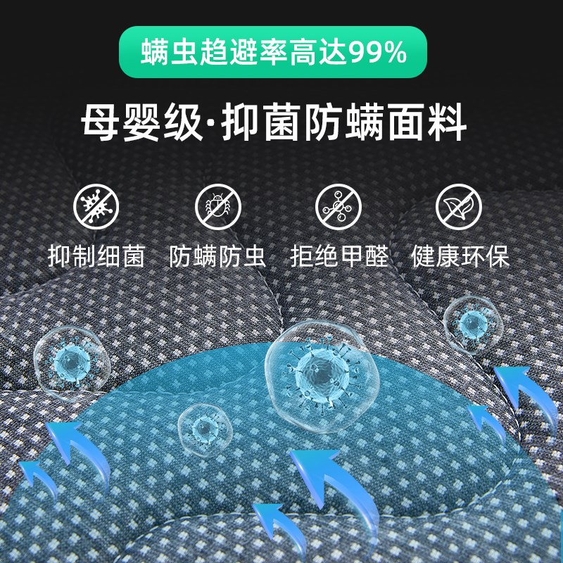 榻榻米垫天然环保椰棕床垫不塌陷不变形a类母婴级硬垫子定制尺寸