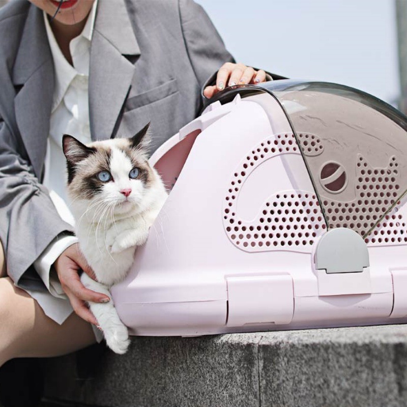 宠物用品猫狗航空箱天窗款外出航空笼大空间可拆卸车载箱猫狗笼