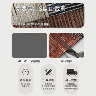 轻奢高级感入户门可擦免洗门口玄关地垫室外脚垫家用门垫 2024新款