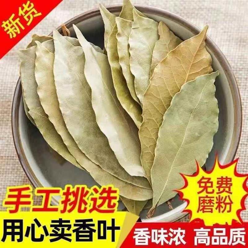新货特级香叶组合香叶家用月桂叶价香樟叶肉香叶粉卤菜调味料