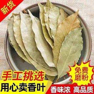 新货特级香叶组合香叶家用月桂叶价香樟叶肉香叶粉卤菜调味料