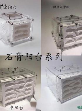 石膏蚁巢巢生亚克力城堡试管宠物生日特硬蚁巢宠物混凝土散装长宽
