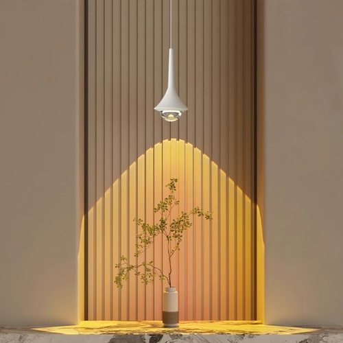 玄关入户高级感氛围灯吊线射灯