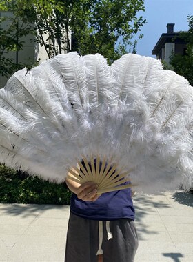 包邮大号鸵鸟羽毛扇子 肚皮舞蹈酒吧表演M演唱会道具羽毛绒大扇子