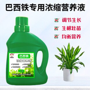 巴西铁香血龙树专用浓缩营养液绿金边通用氮磷钾养肥料