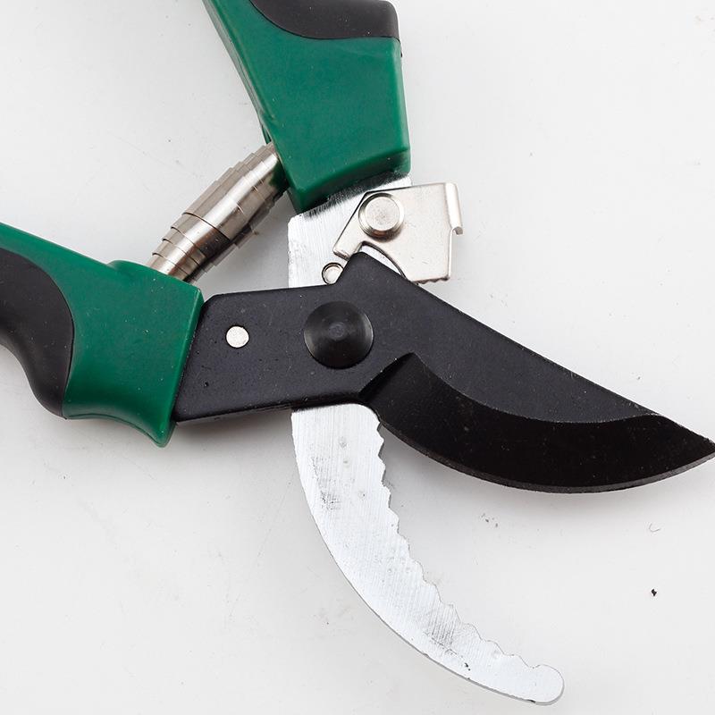 剪枝剪刀果树剪子修剪树枝剪刀强力修花剪园艺剪刀花卉园林修枝剪