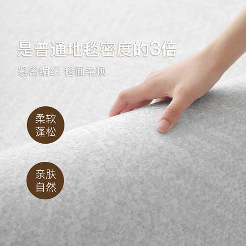 现代极简意式地毯客厅2026新款防水卧室免洗可擦轻奢高级沙发地垫