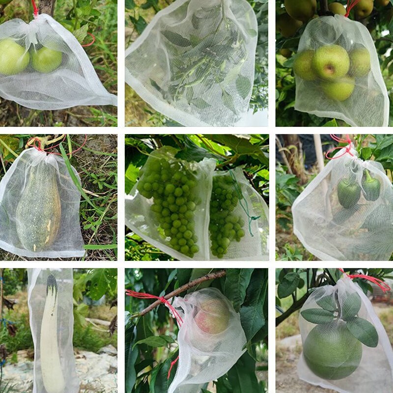 【 100条】圆丝PE网袋 尼龙防虫网袋 套袋 水稻育种袋纱网眼袋子