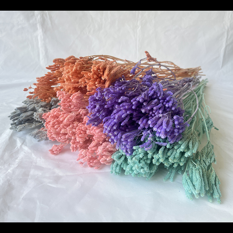 永生花野生勿忘我 干花花束 云南直供 diy材料包家居装饰摆件