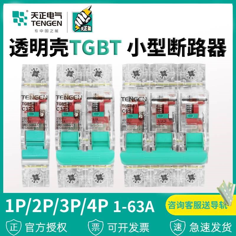 天正透明外壳空气开关TGBT小型断路器63A短路保护1P2P工地电闸3P