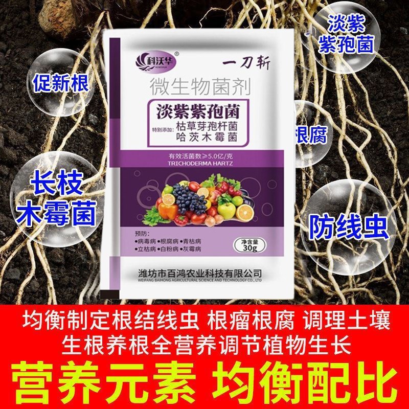 土壤剂菜地大棚抗重茬防治根肿烂根死苗土传病害消毒药液