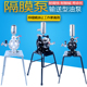 气动隔膜泵喷漆泵台湾A 10气动油漆泵油墨泵抽油泵三分喷漆隔膜泵