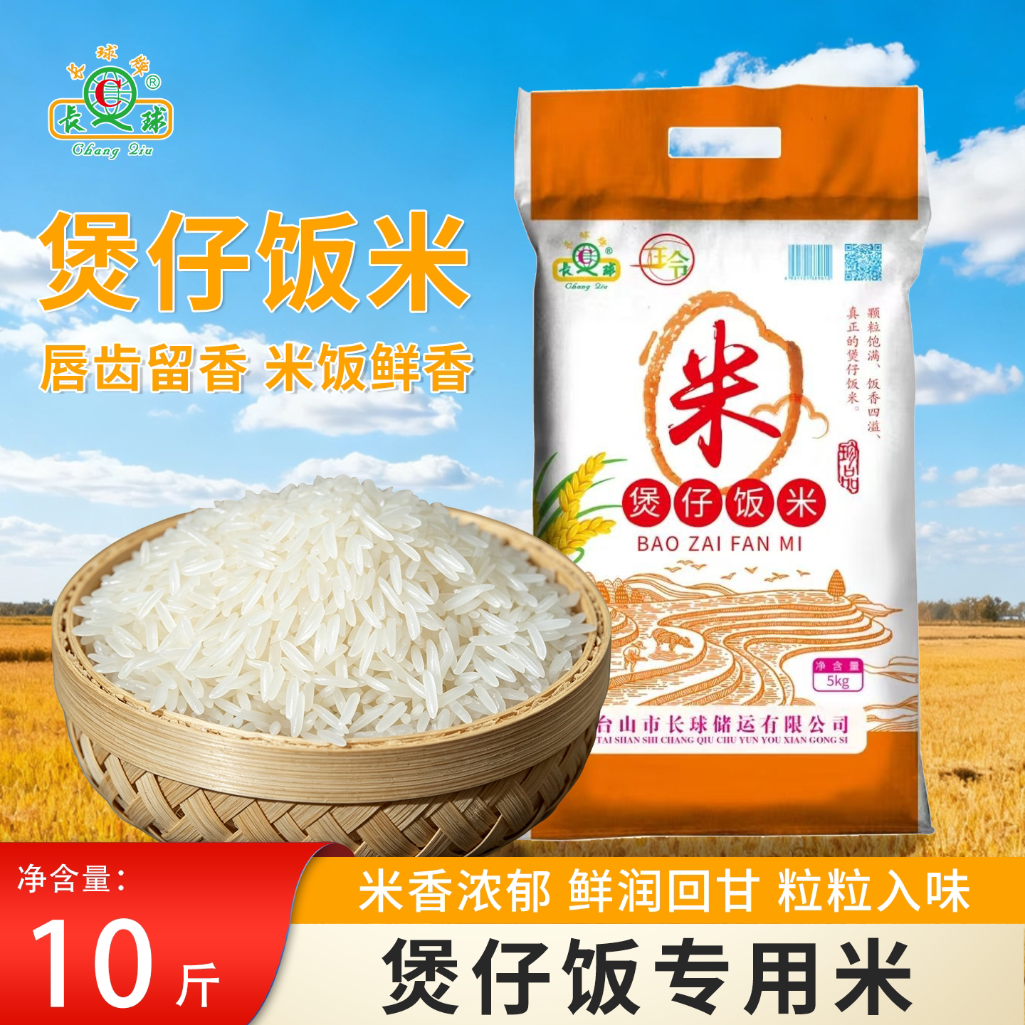 台山煲仔炒饭专用米10斤装丝苗米新大米长粒象牙米长球牌广东香米
