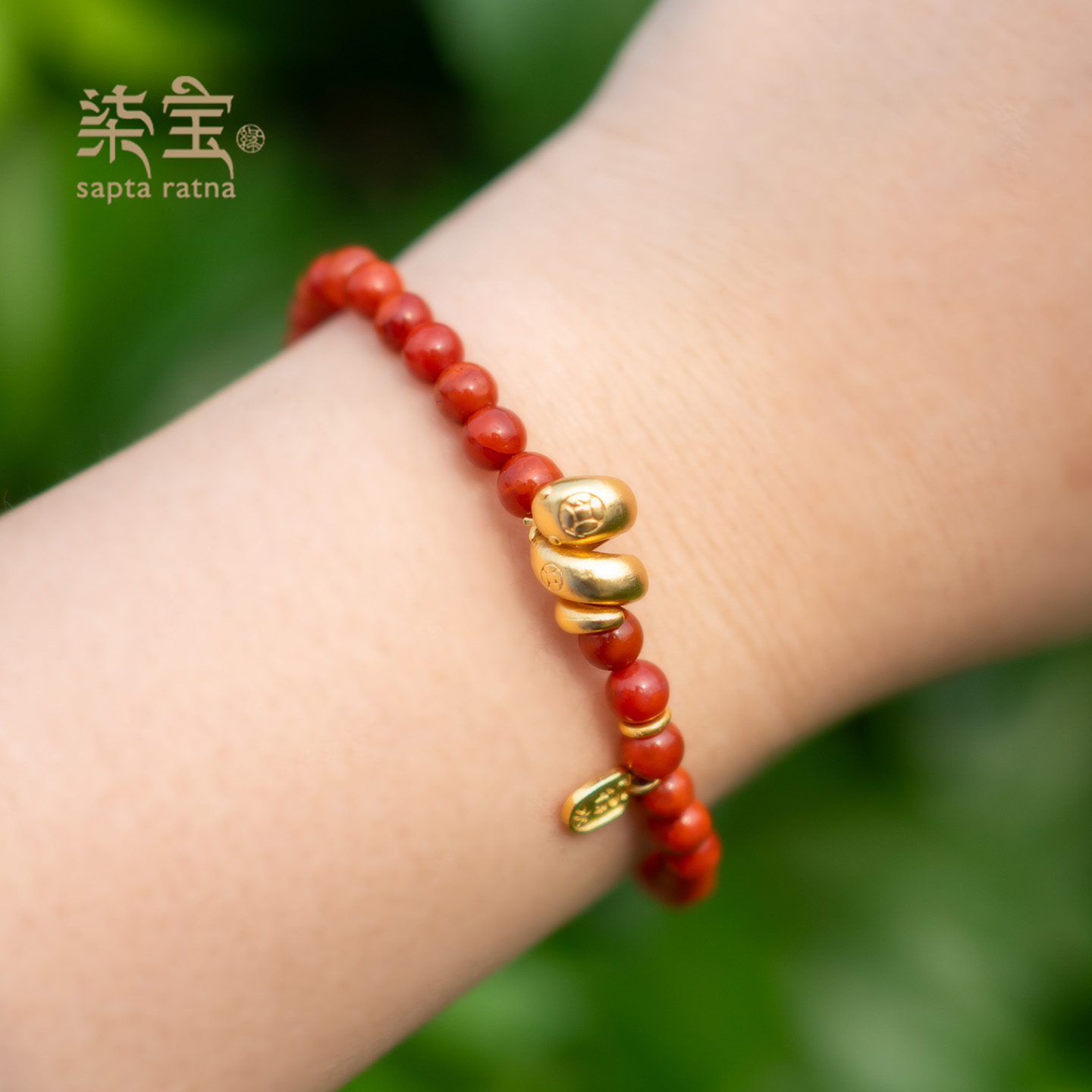 七宝缘天然绛玲珑南红玛瑙圆珠有钱蛇手链原创设计生肖南红手串