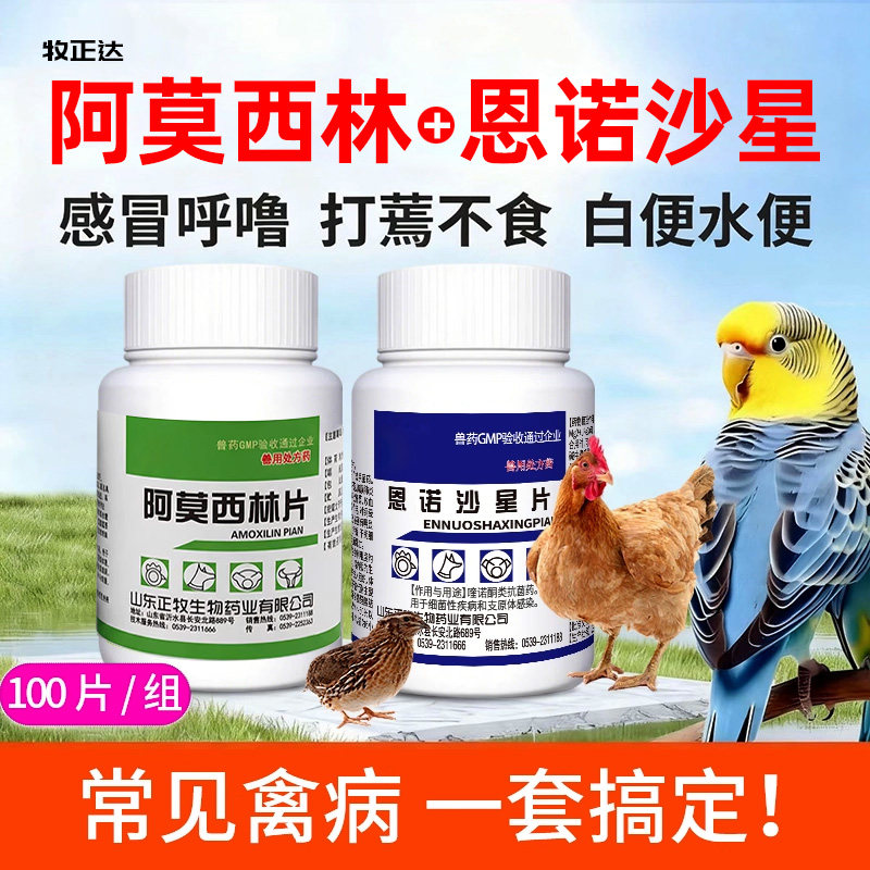 阿莫西林恩诺沙星小鸡鸭鹅鹦鹉鸽拉稀肠炎感冒咳嗽鸡苗开口兽用药