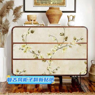 柜子改造家具翻新贴纸新中式复古美式法式衣柜门玻璃镜子遮挡自粘