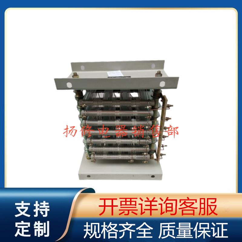 RT21-6/1B RT22-6/1B RT31-8 RT41-8/1行车电阻器电阻器RT51-8/2D