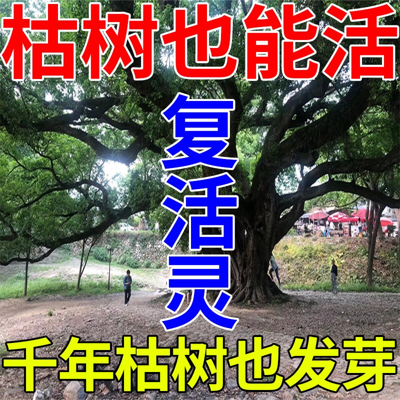 【大树成活营养液】死树复活生根液小苗营养液枯树烂根烂苗复活剂