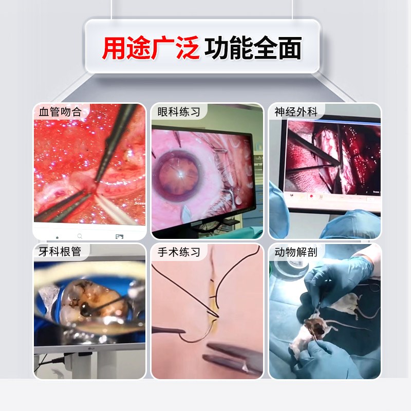 朗齐手术练习显微镜眼科缝合牙科根管神经外科血管吻合动物解刨生