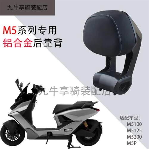 九号M5靠背铝合金后靠背M5100/M5125/M5200/M5P后座靠背护腰配件