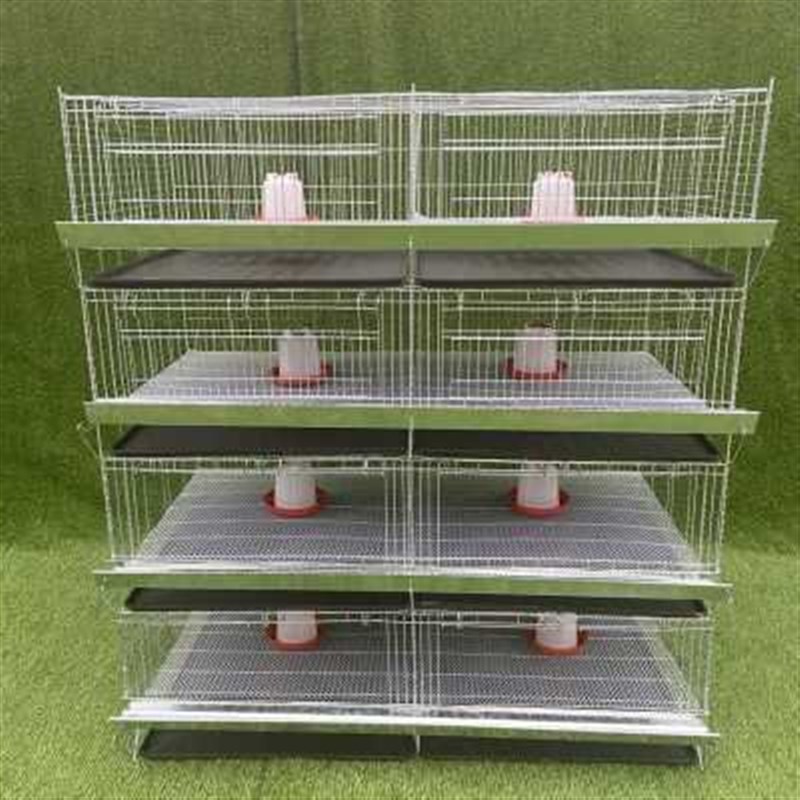 新款新品养鸡笼家用大型网片养殖场大号特大号自动喂食Z底片漏粪