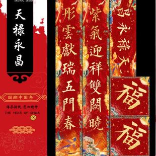 创意大门春节级感家用别墅新年对联 蛇年对联寿联2025年新款