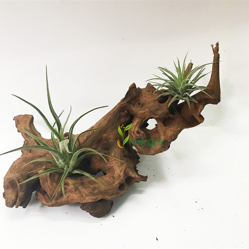 空气凤梨沉木托架底座 造型随机 创意空凤支架鱼缸造景天然造景木