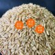 鸟粮新燕麦仁玄凤金太阳牡丹小太阳 鹦鹉饲料燕麦米野麦雀麦鸟食