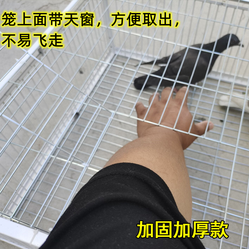 天落笼鸽子笼撞门鸽子活络门笼铁丝笼鸽笼只进不出跳笼撞门自动